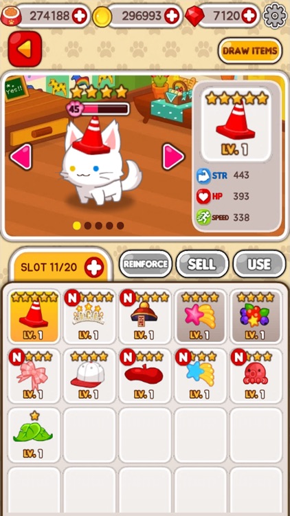 Animal Judy : Cat care