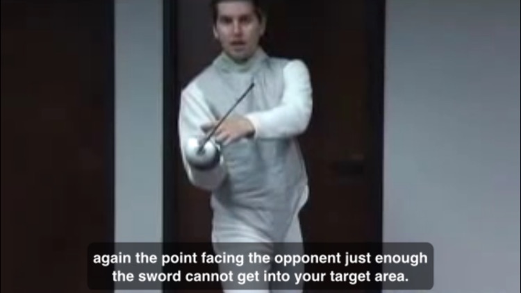 The Art Of Fencing screenshot-3