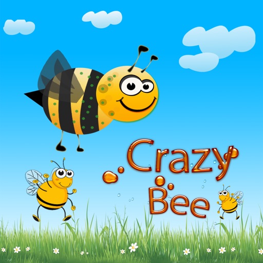 Crazy Bee Pro - Unlimited Fun