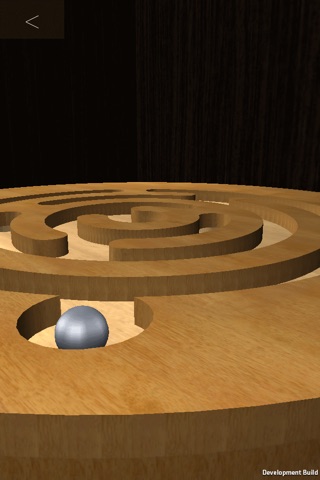 Maze Hole pro screenshot 2