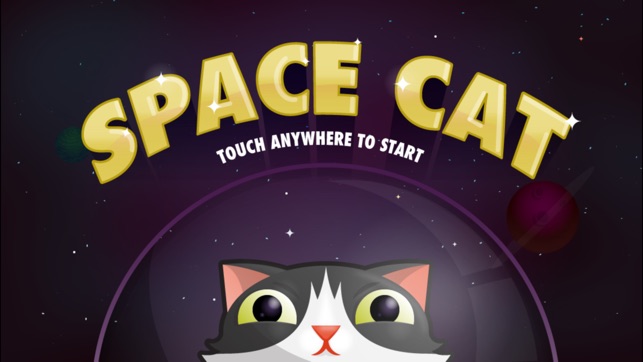 Commander Space Cat