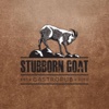 Stubborn Goat