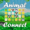 Animals Connect - Find Animals Pair