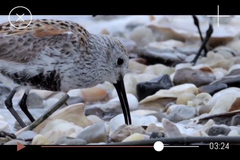 LUNE, LA FACE CACHÉE DE LA TERRE screenshot 3