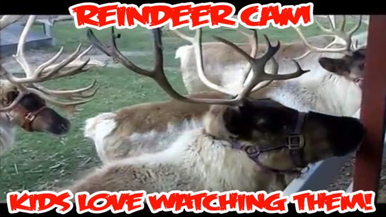 ReindeerCam - Watch Santa's Reindeer & More!