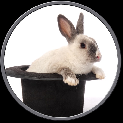 rabbits pictures to win for kids - free game icon