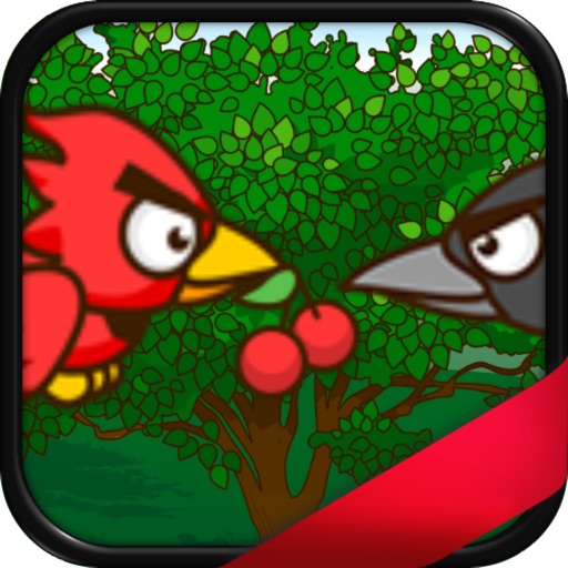 Red Bird Picker by Christopher Wilson