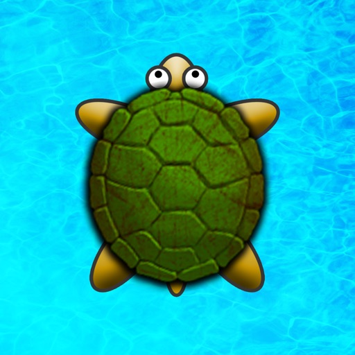 Turtle Surfer iOS App