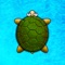 Turtle Surfer