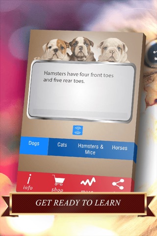 Pets Facts - Free Trivia for Animal Lovers screenshot 4