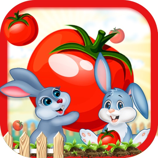 Tomato Squashers iOS App