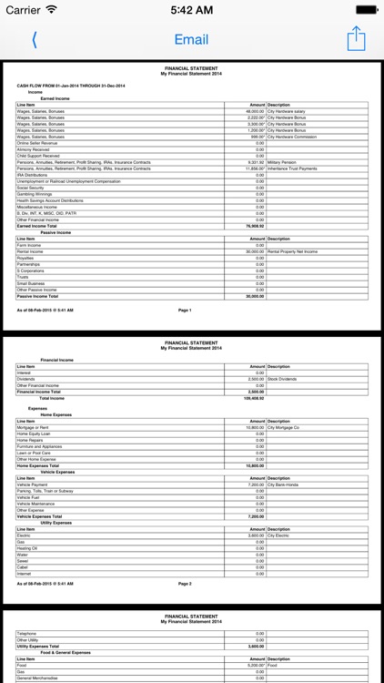 Financial Statement screenshot-4