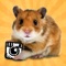 Sure, you've always wanted to turn your friends into HAMSTERS, but you've just never had the right app to do it