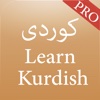 Learn Kurdish Pro