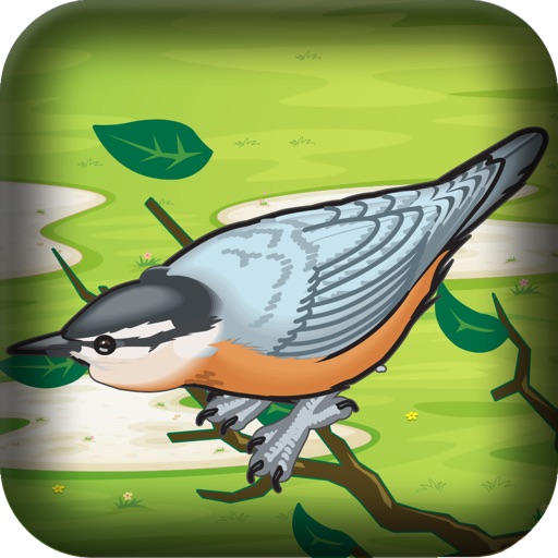 Mad Birds War: Air Domination - Flying and Shooting Game Icon