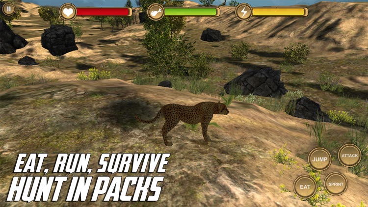 Leopard Simulator HD Animal Life