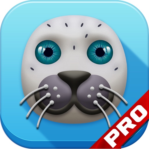 A Awkward Seal Flap PRO - Fun Multiplayer Game Icon