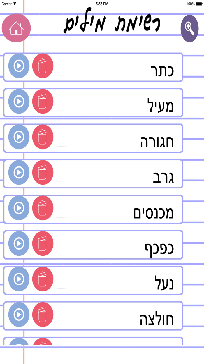 הכתבה lite