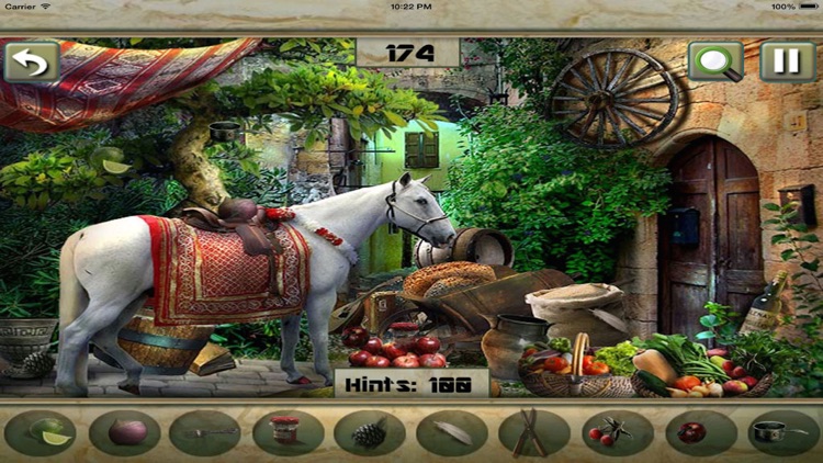 Hidden Objects:The Princess Wish