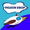 Pigeon-Drop