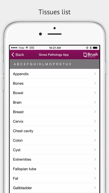 Gross Pathology screenshot-3