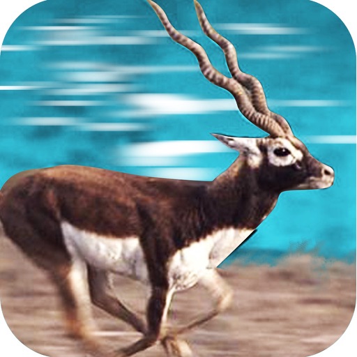 Furious Black Buck Simulation iOS App