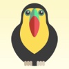 Animal Race: Help the Tucan Escape the Jungle!