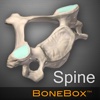 BoneBox™ - Spine Viewer