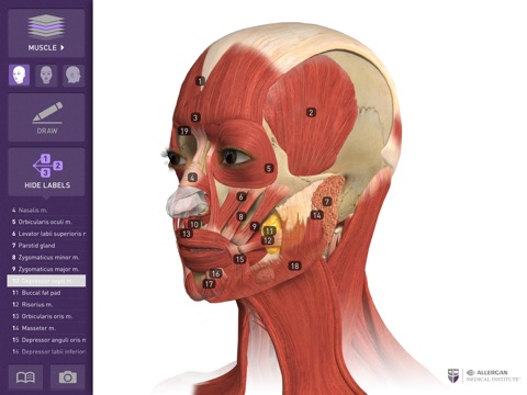 Interactive Anatomy - EG screenshot 2