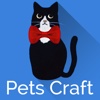 Pets Craft Ideas