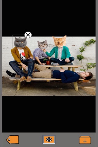Cat Builder Pro - Photo Bomb Pictures Instantly and Superimpose Funny Kitties on your Pics !!! screenshot 2