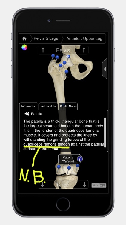 Skeleton System Pro III - iPhone Edition
