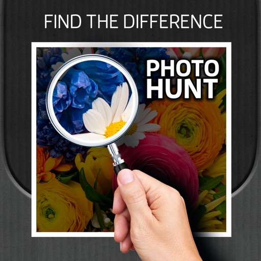 A Funny Photo Hunt - Find the difference! Free icon