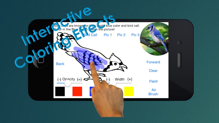 The Bird Book - an Interactive Storybook for Children