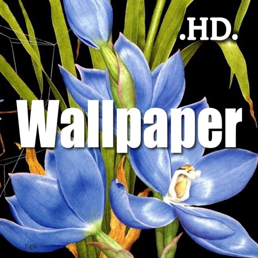 Amazing Cool Wallpaper Collection icon