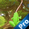 Extreme Frog Pro