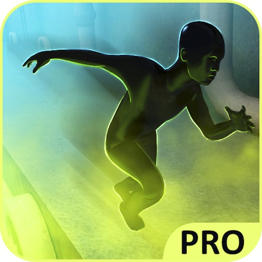 Vector Run 3D Pro icon