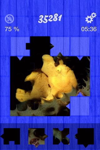 Divers Jigsaw screenshot 4