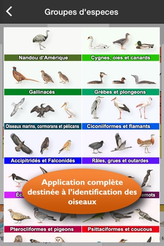 Birds of Europe Guide screenshot 3