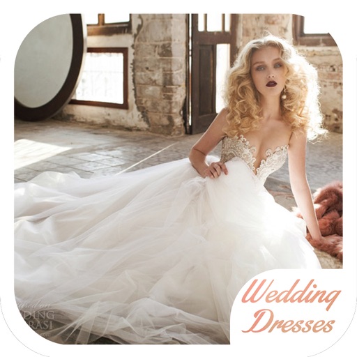 Wedding Dress and Gown Ideas icon