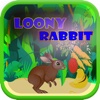 Loony Rabit