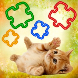 GFA Puzzle Cats