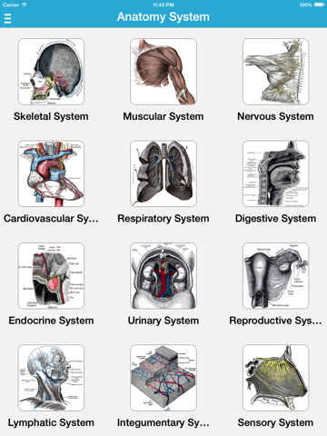 Gray's Anatomy Pro 2014のおすすめ画像2