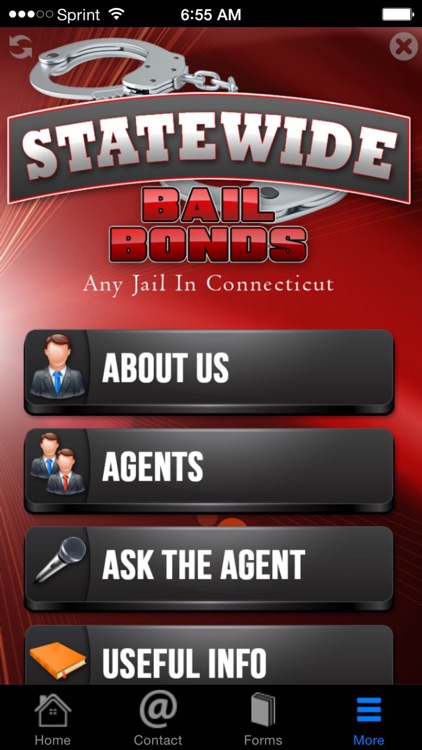 Statewide Bail Bonds screenshot-3