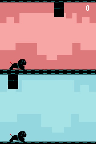 Gravity Dogs screenshot 3