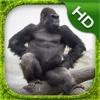 Gorilla Simulator - HD