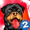 Dog Agility 2 : Obstacles Dressage Race Contest Extreme Fun Edition - Gold Edition