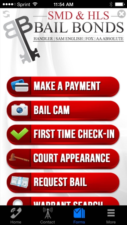 HLS/SMD Bail Bonds screenshot-3