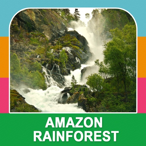 The Amazon Rainforest icon