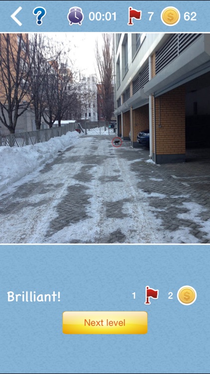 Find the Cat 2 - look for a cat on a picture